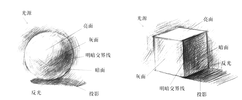 人物素描头像绘画0基础必须知道绘画人物头像基础技法